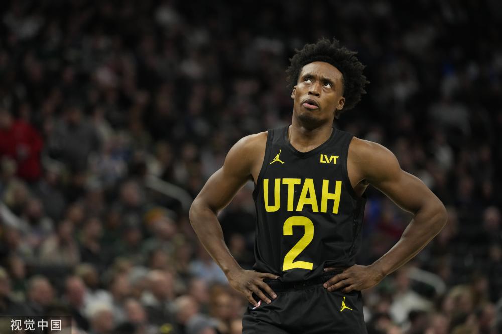 拉塞尔的差 拉塞尔的差