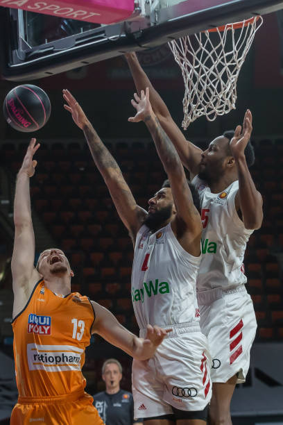 两周后迎来 两周后迎来